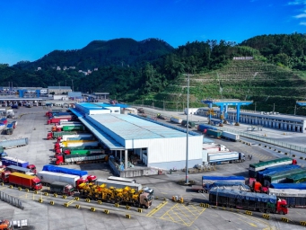 实力领跑！友谊关口岸前10个月进出口总值超去年全年